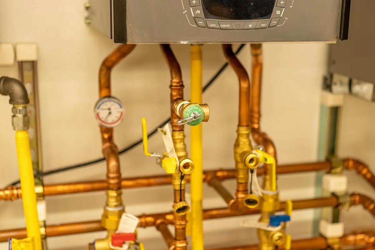 Licensed technician providing Sewer Cleanout for a homeowner in Roselle